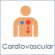 Cardiovascular