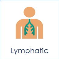 Lymphatic