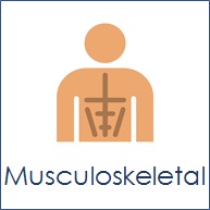 Musculoskeletal